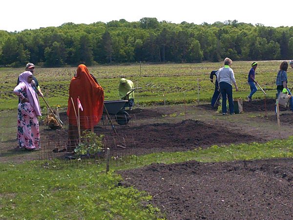 Families planting their plots